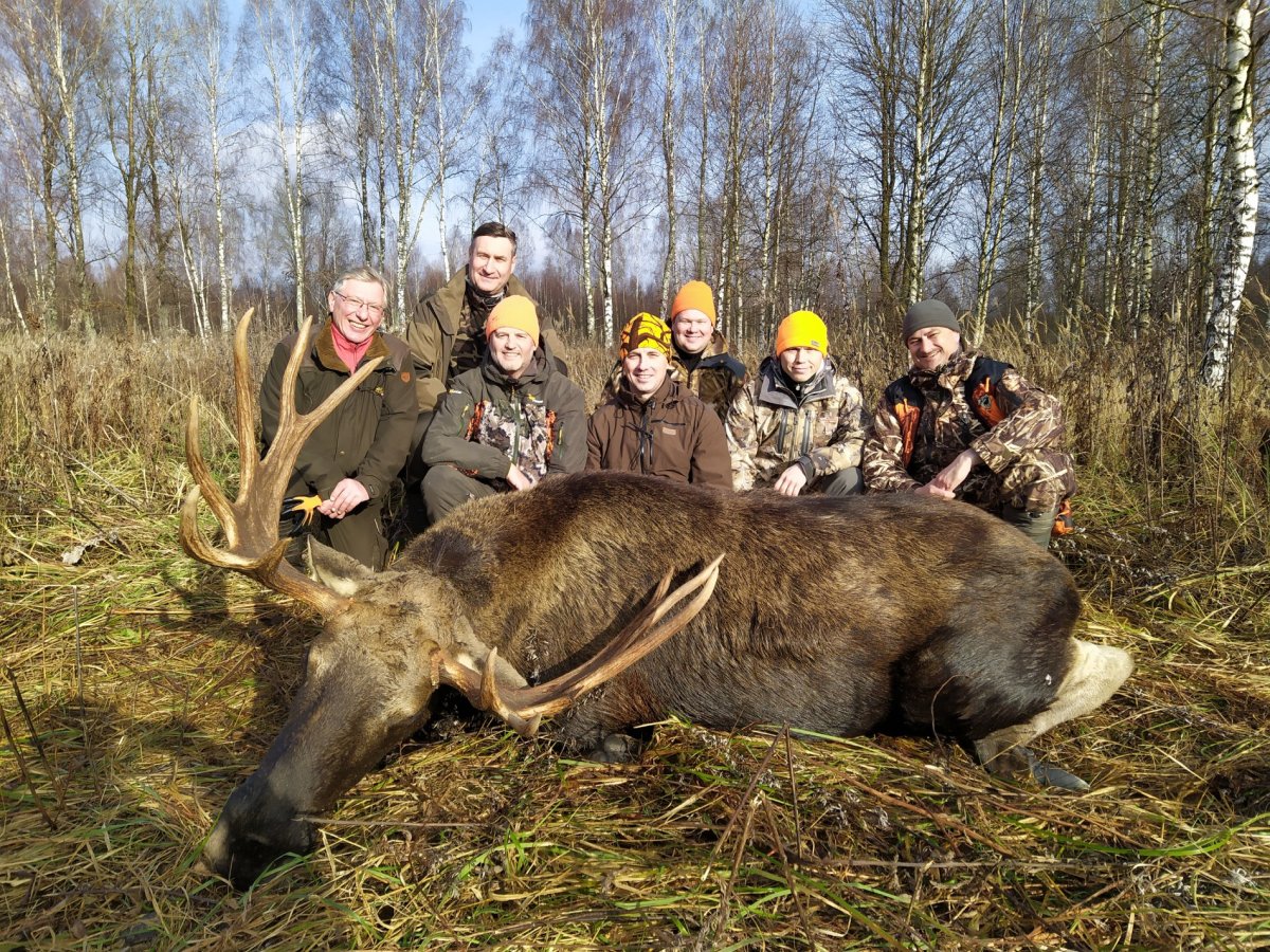 Охота.лося. Загонная охота