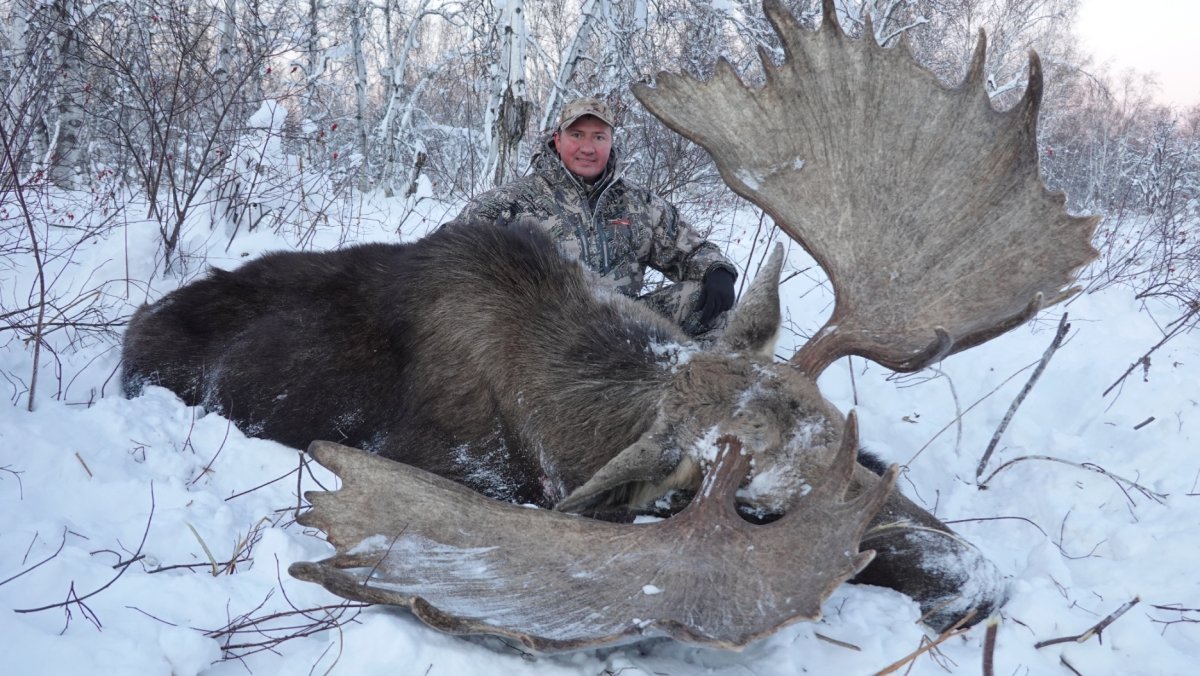 Трофейная охота на лося Камчатка