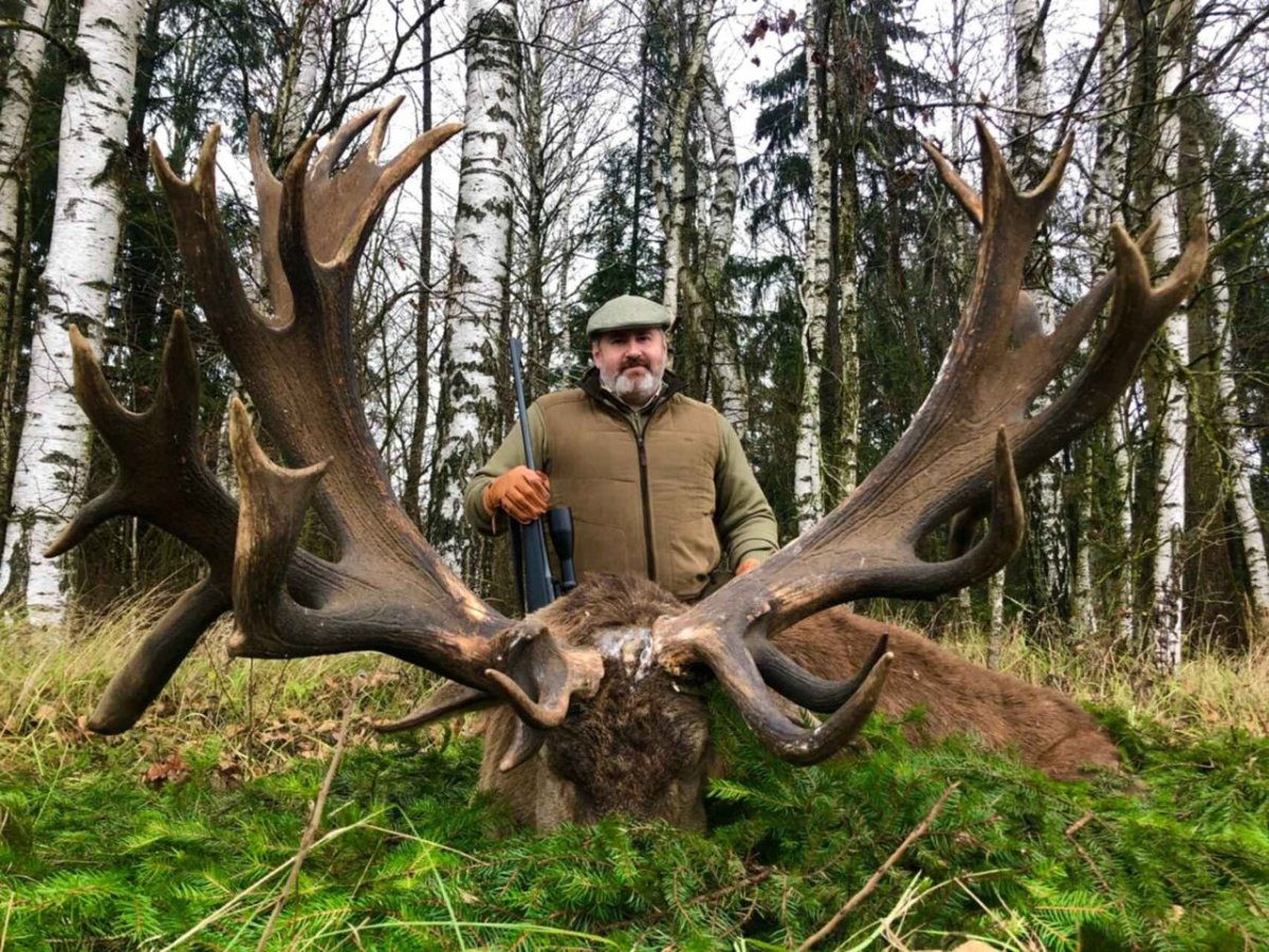Охотничьи трофеи рога лося