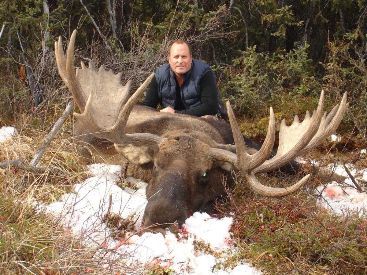 Лось с огромными рогами