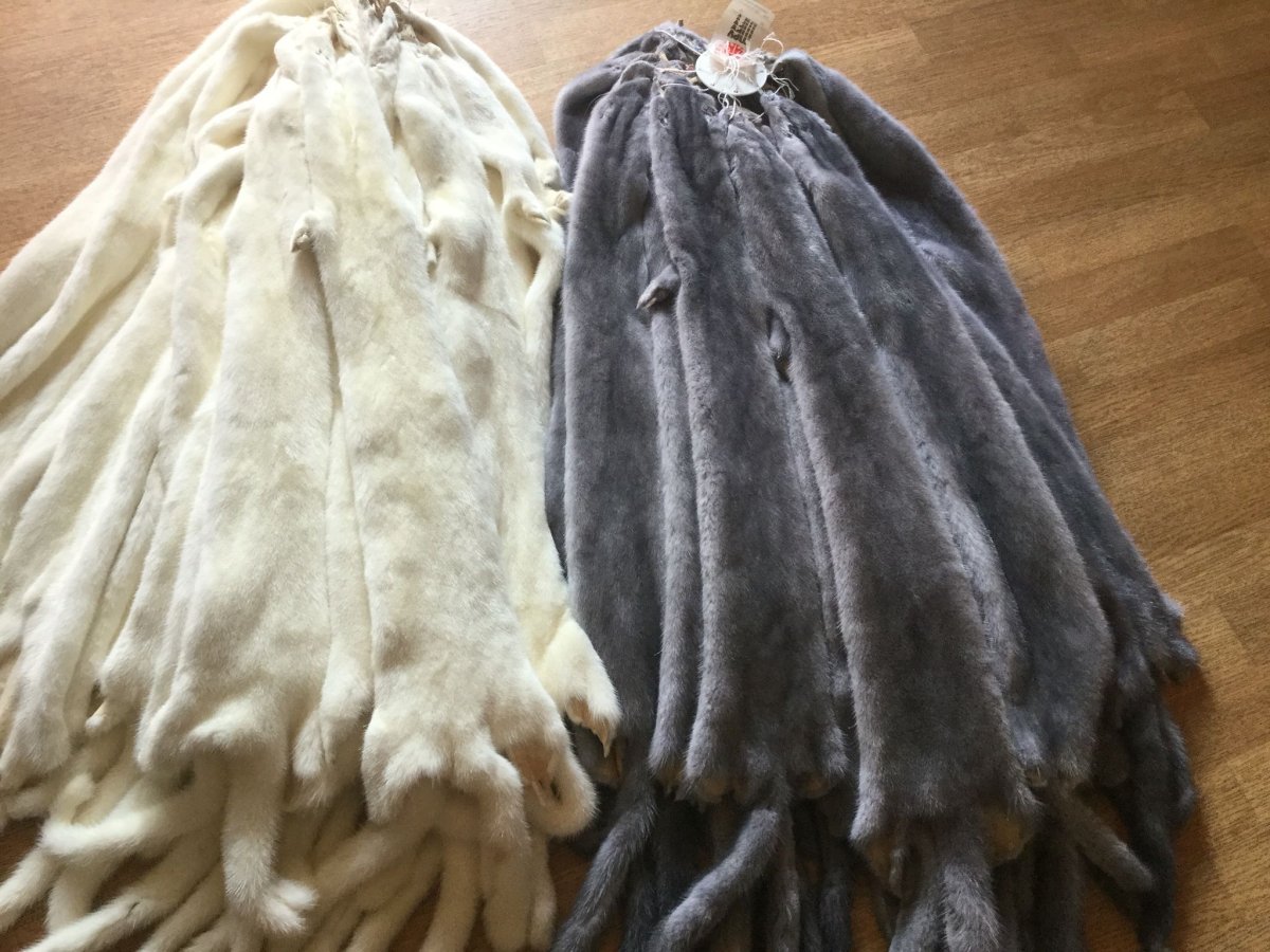 Норка шкуры Рэй Фурсин