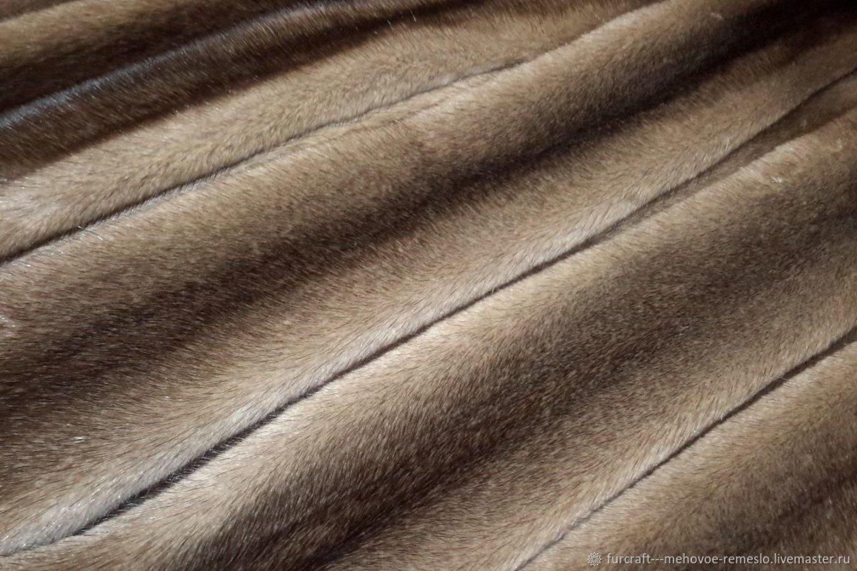 Норка сканглоу