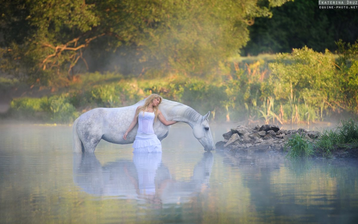 Девушка на лошади в воде