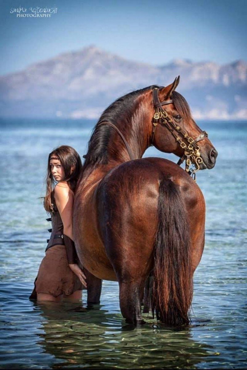 Девушка и жеребец