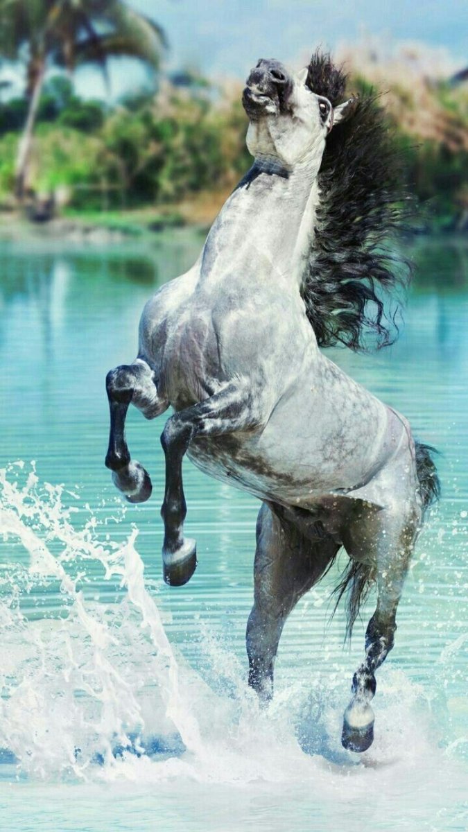 Конь из воды