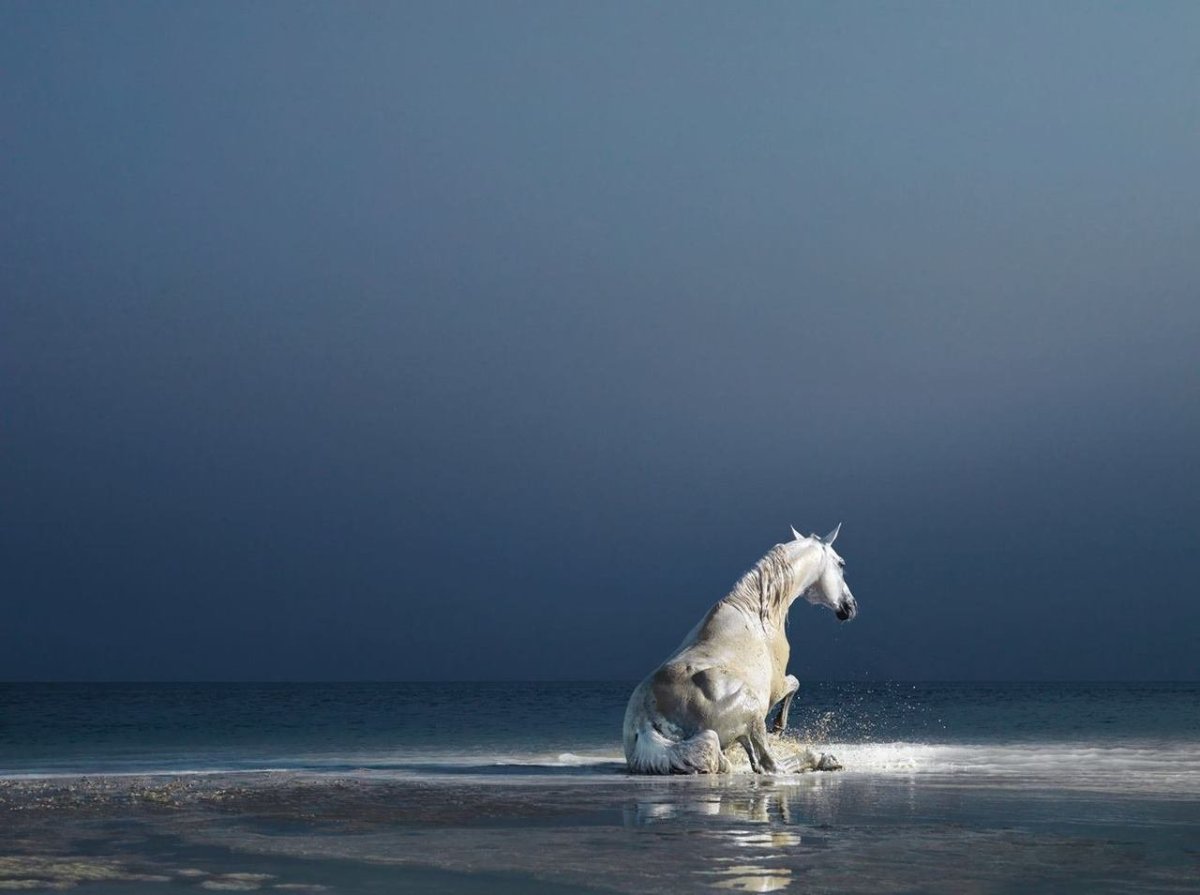 Лошади и море