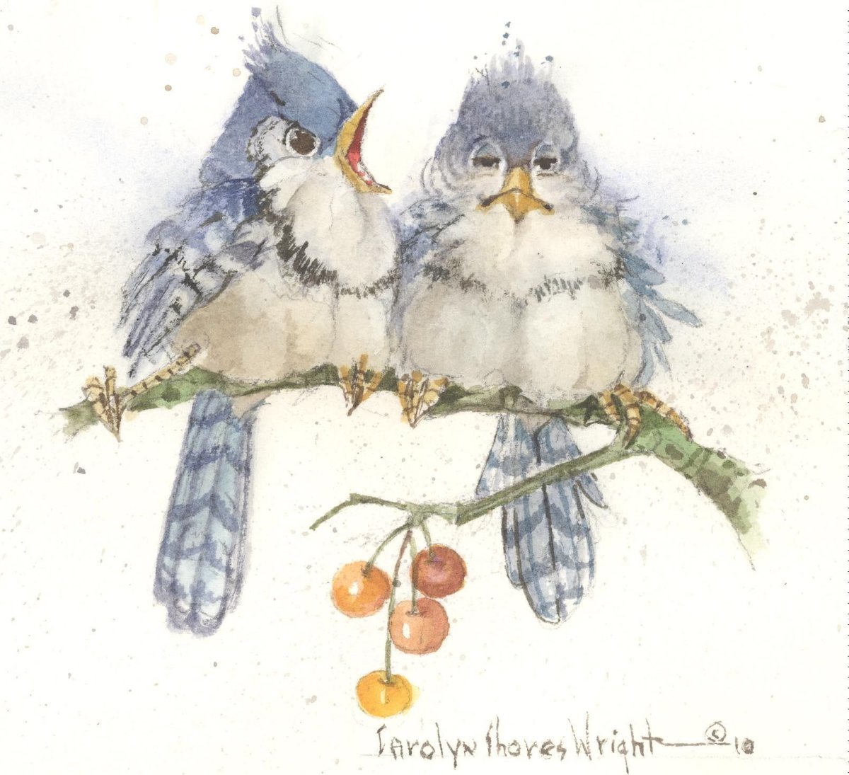 Художник Carolyn Shores акварель птицы
