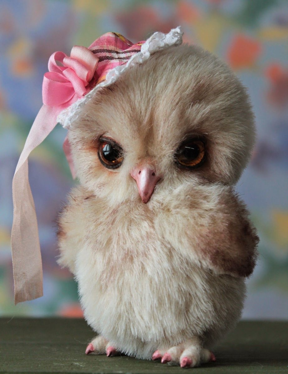 Очень милые Совы