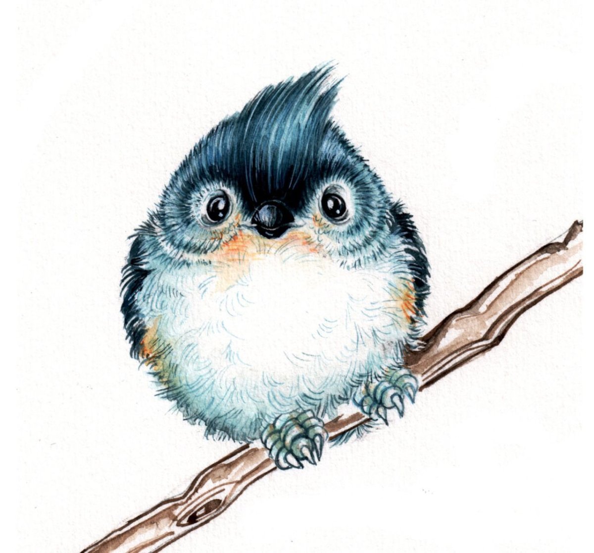 Милые птички рисунки