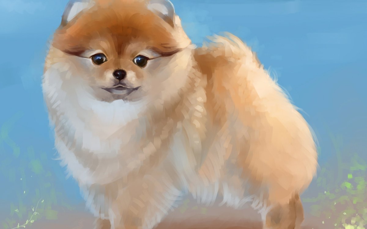 Шпиц померанский Art