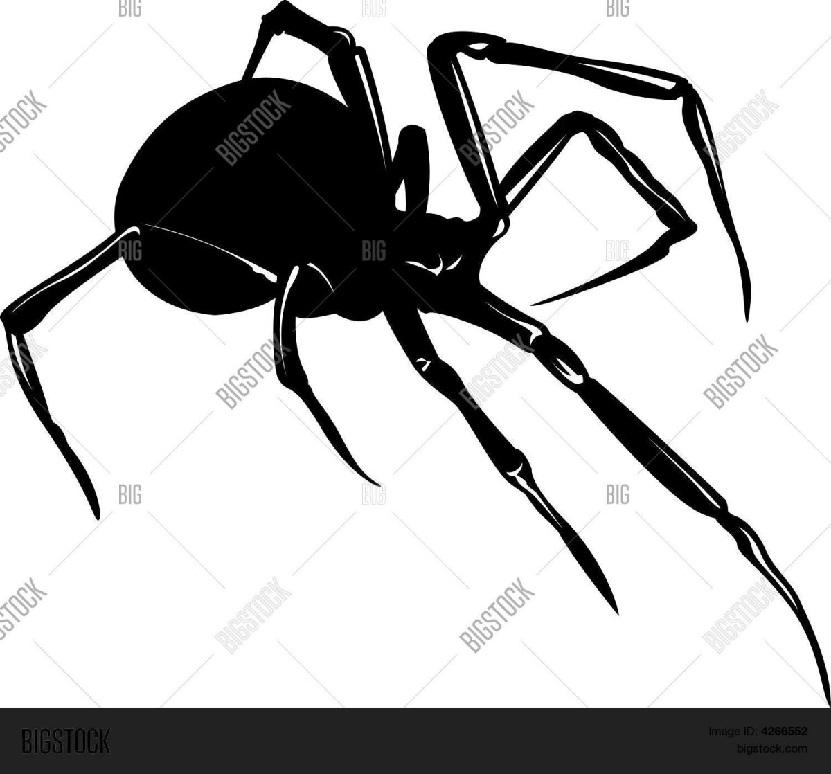 Черная вдова паук наклейка