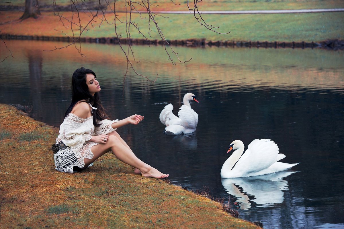 Фотосессия с лебедем