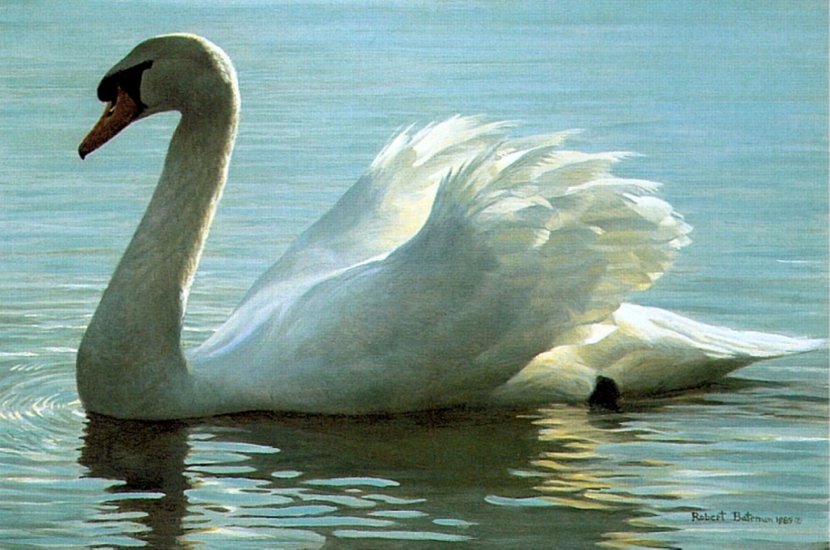 Роберт Свон художник