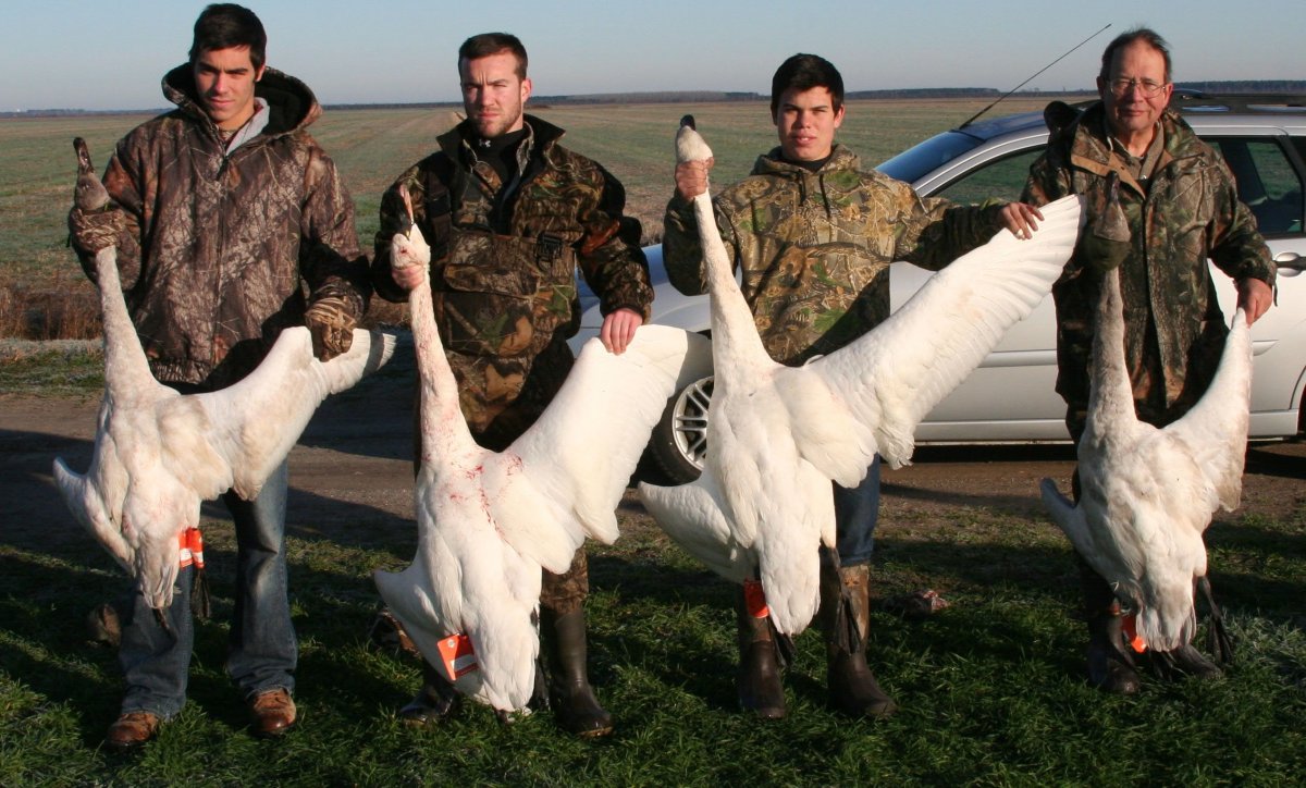 Охота на журавля