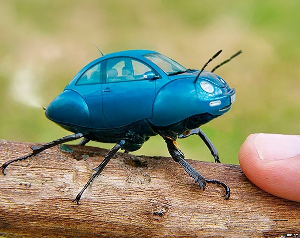 Жук Стрекач