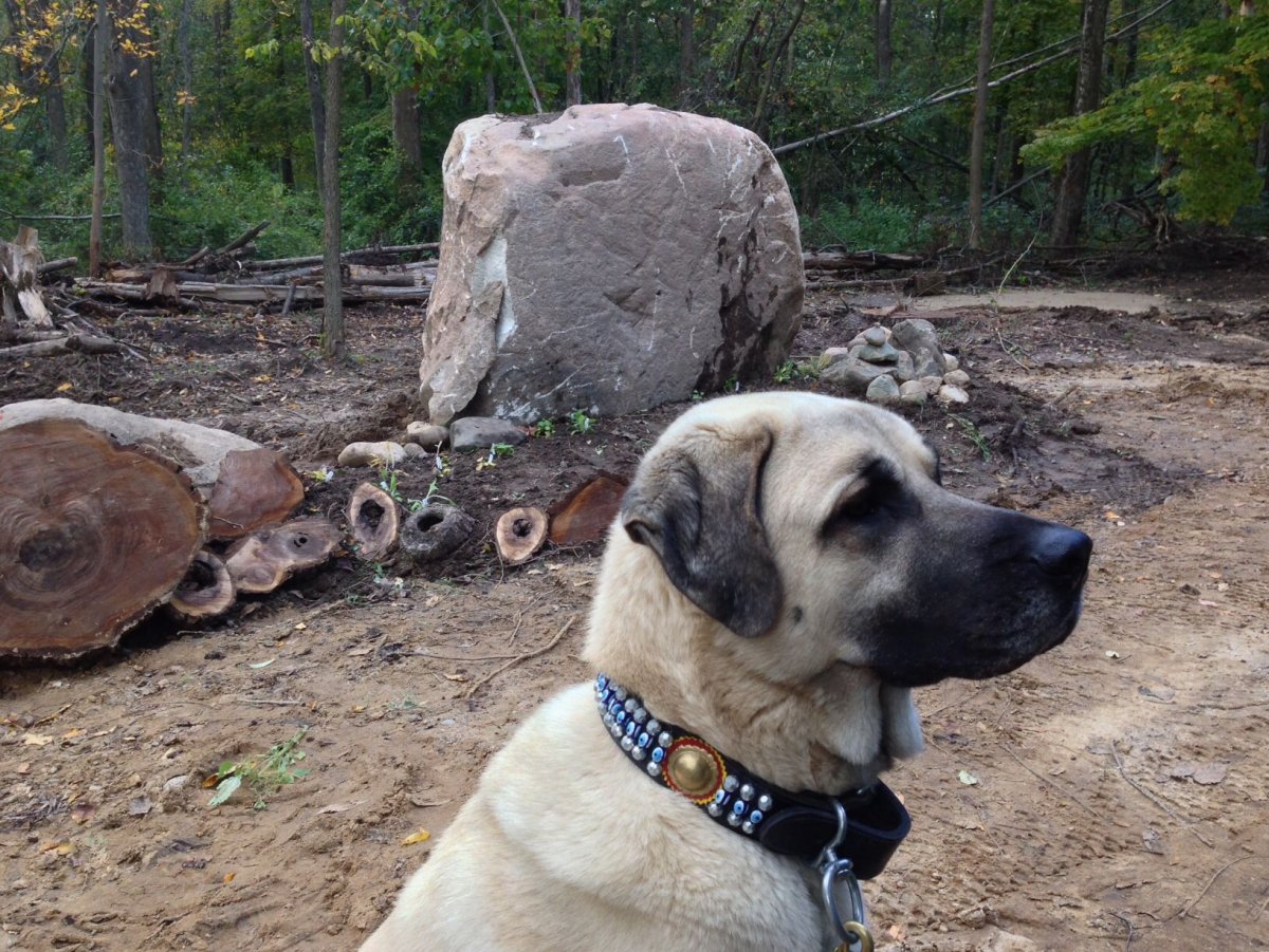 Кангал охрана двора