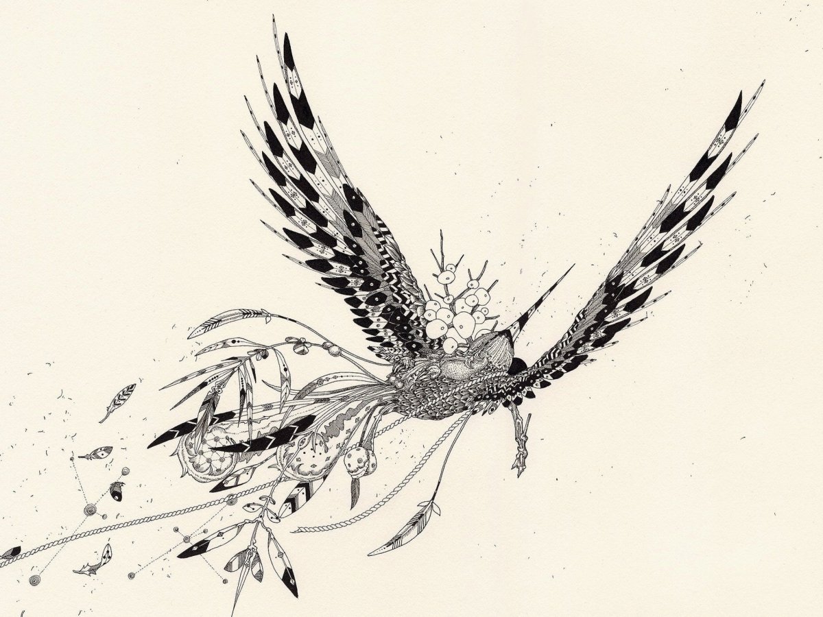 Наброски полёта птиц