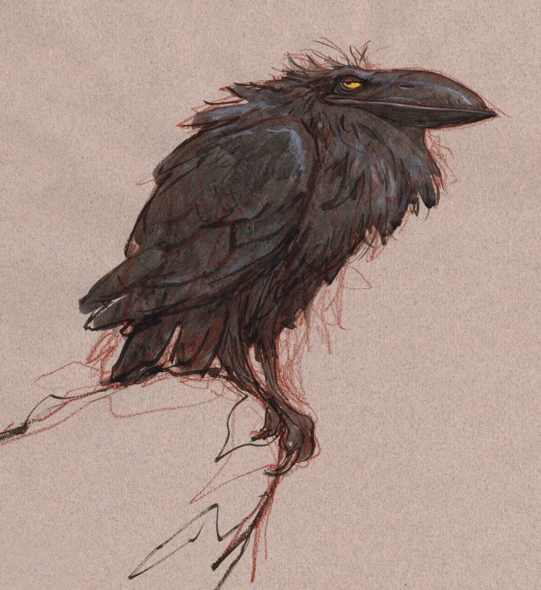 Старый ворон