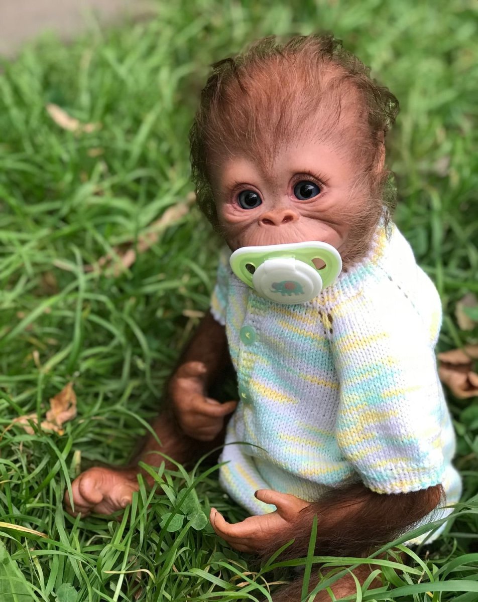 Ручная обезьянка