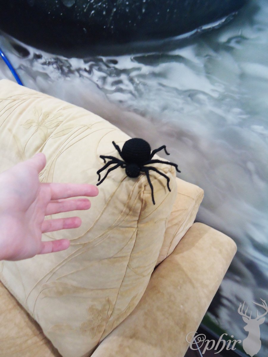 Каракурт в Ставропольском крае