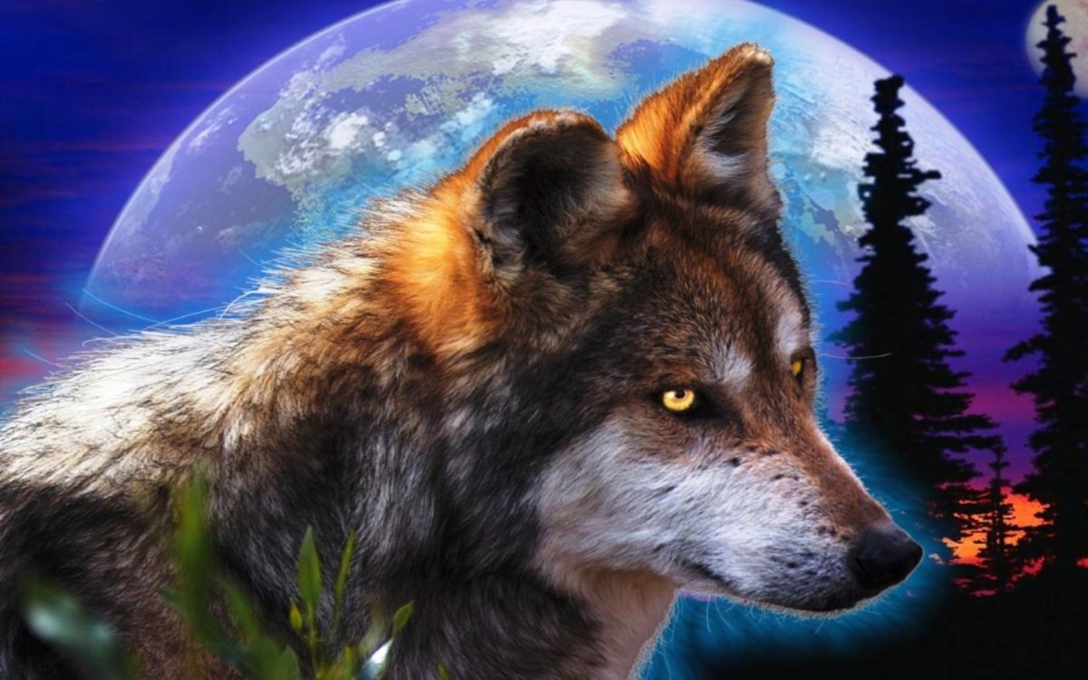 Одинокий волк