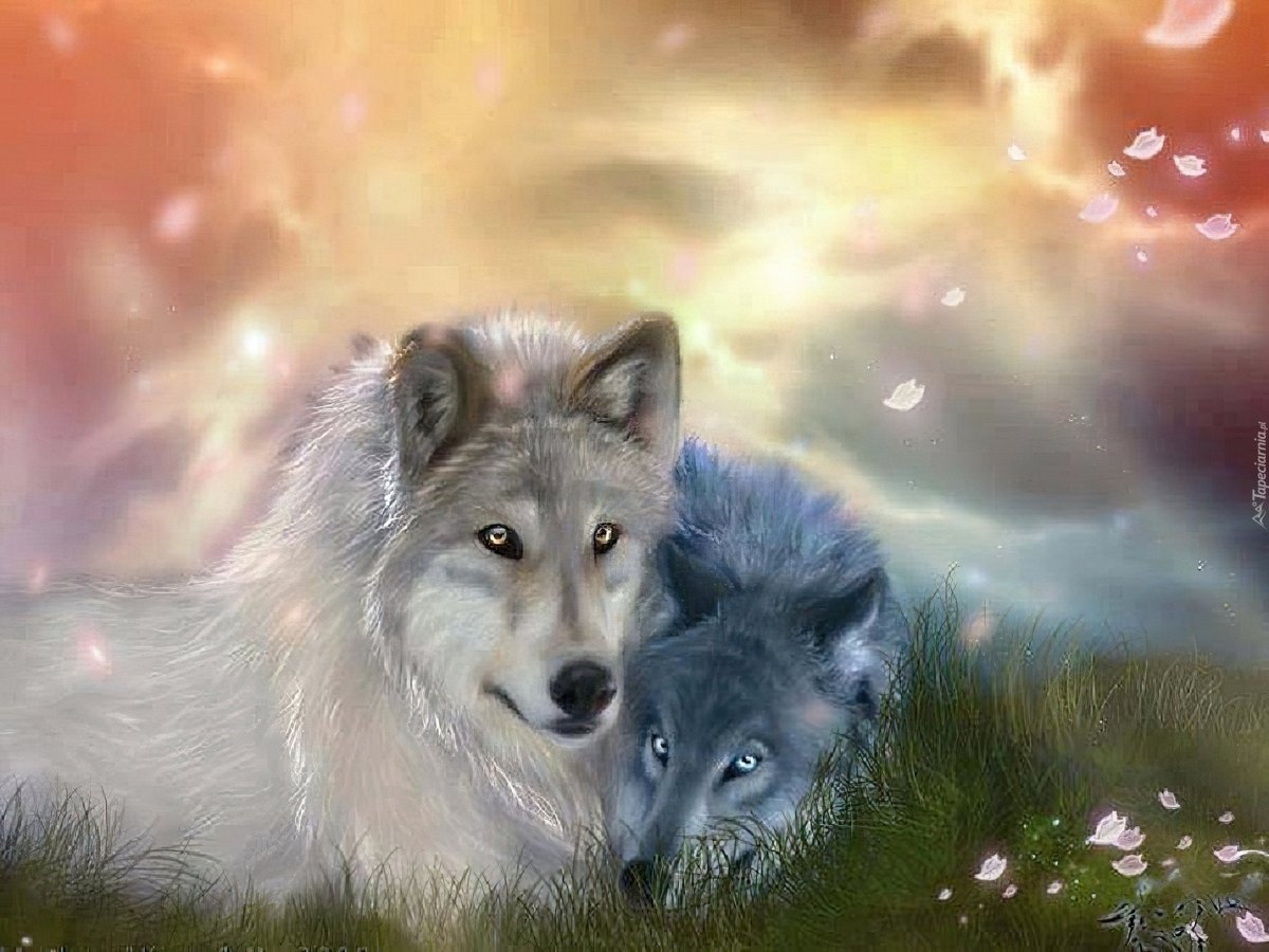 Пара Волков фэнтези