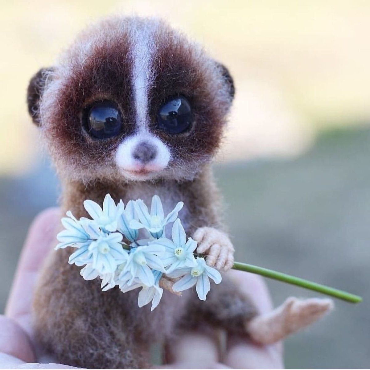 Лемур Лори маленький