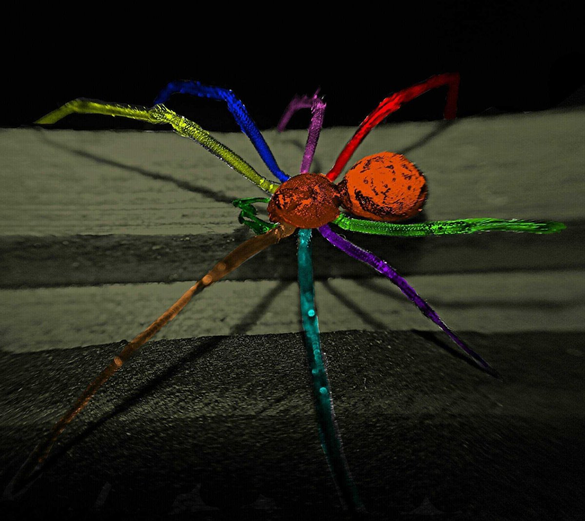 Радужные пауки