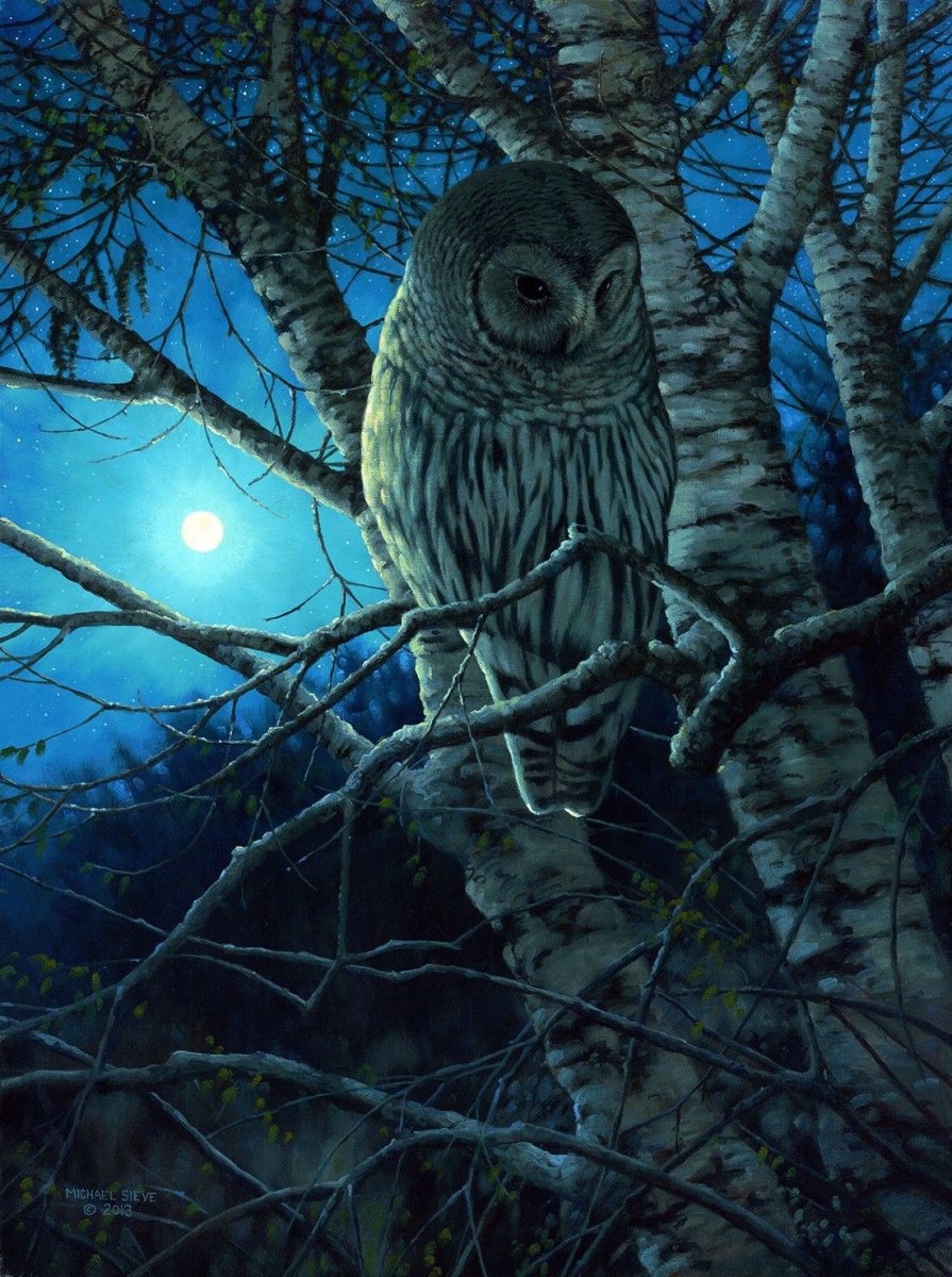 Michael Sieve художник картины