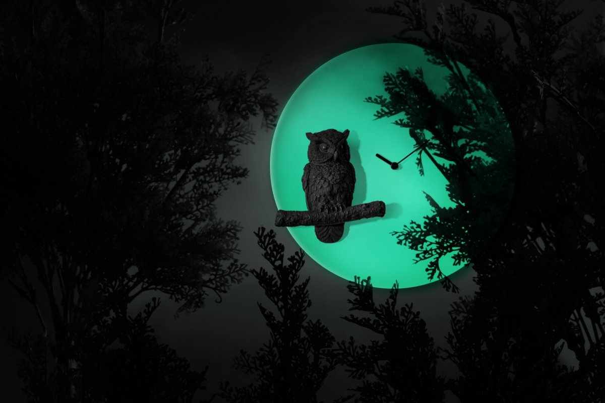 Сова в ночном лесу