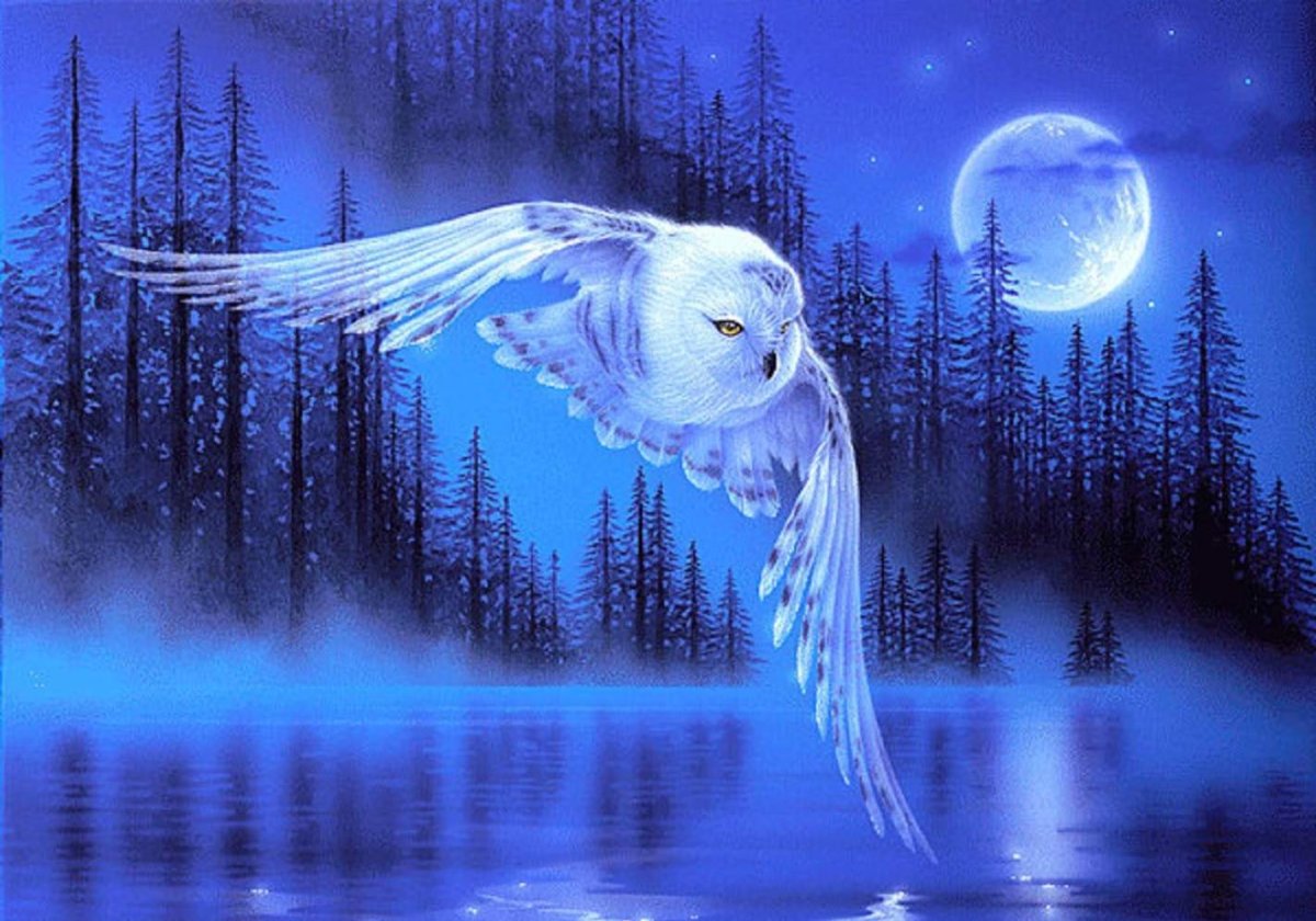 Белая Сова на фоне Луны