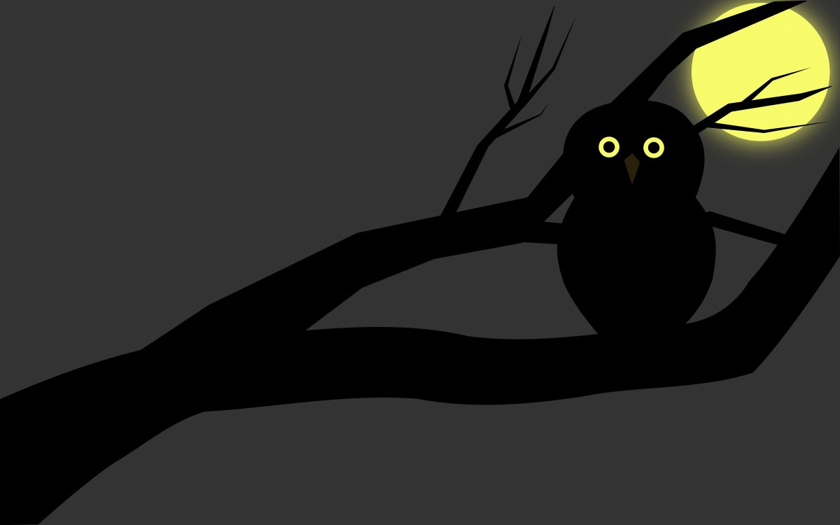 Сова в темноте