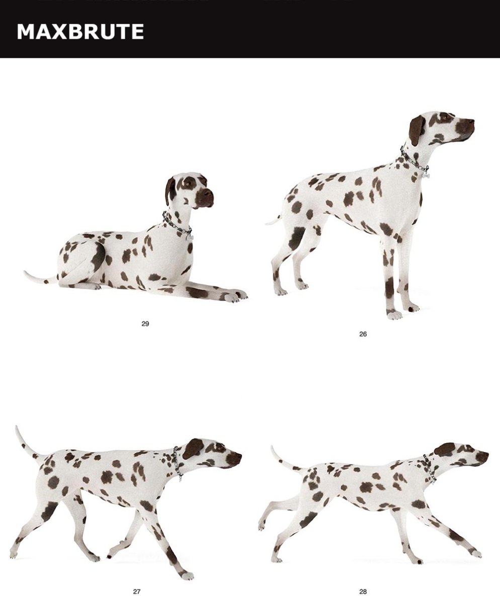 3 Далматинца