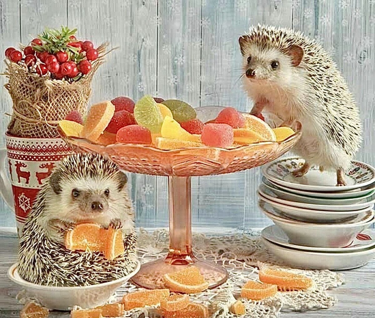 Еремина Елена Тайная жизнь ежиков