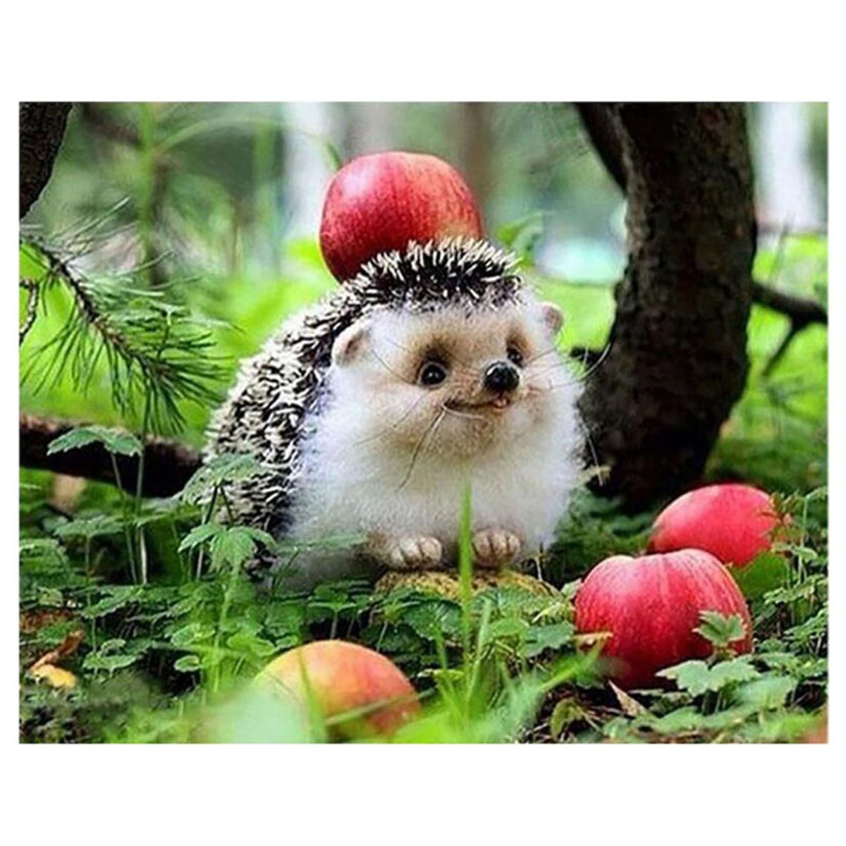 Ёж с яблоком