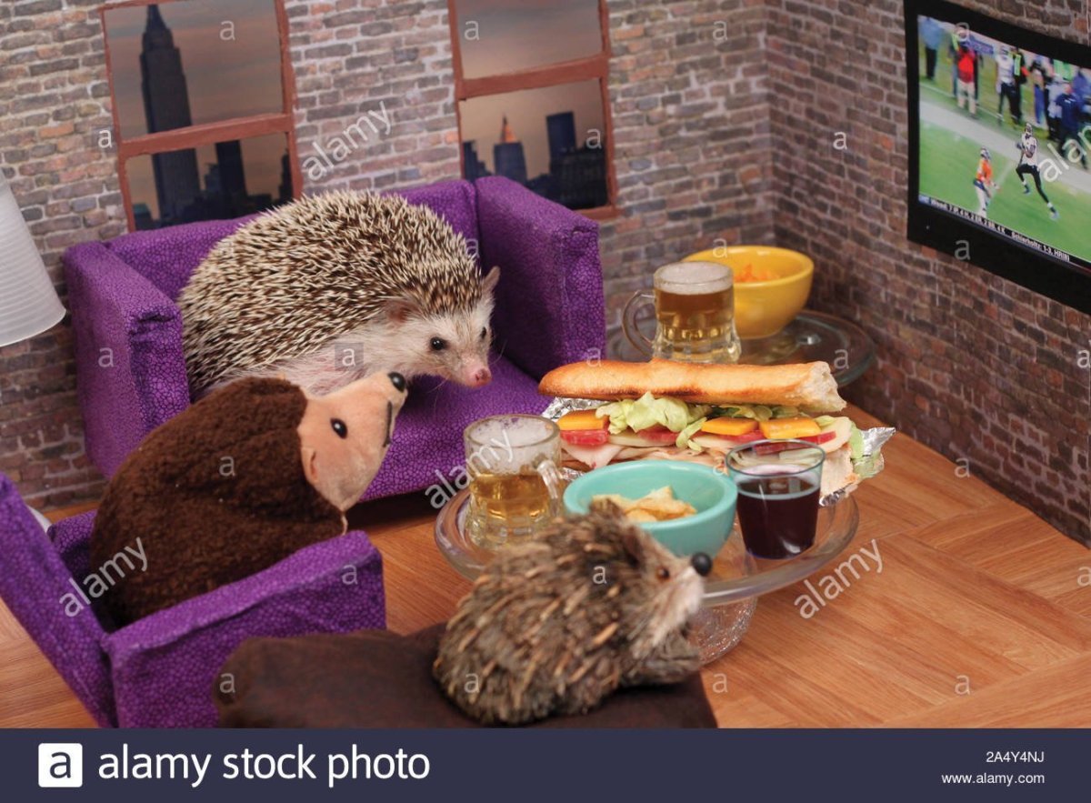 Ежик за столом