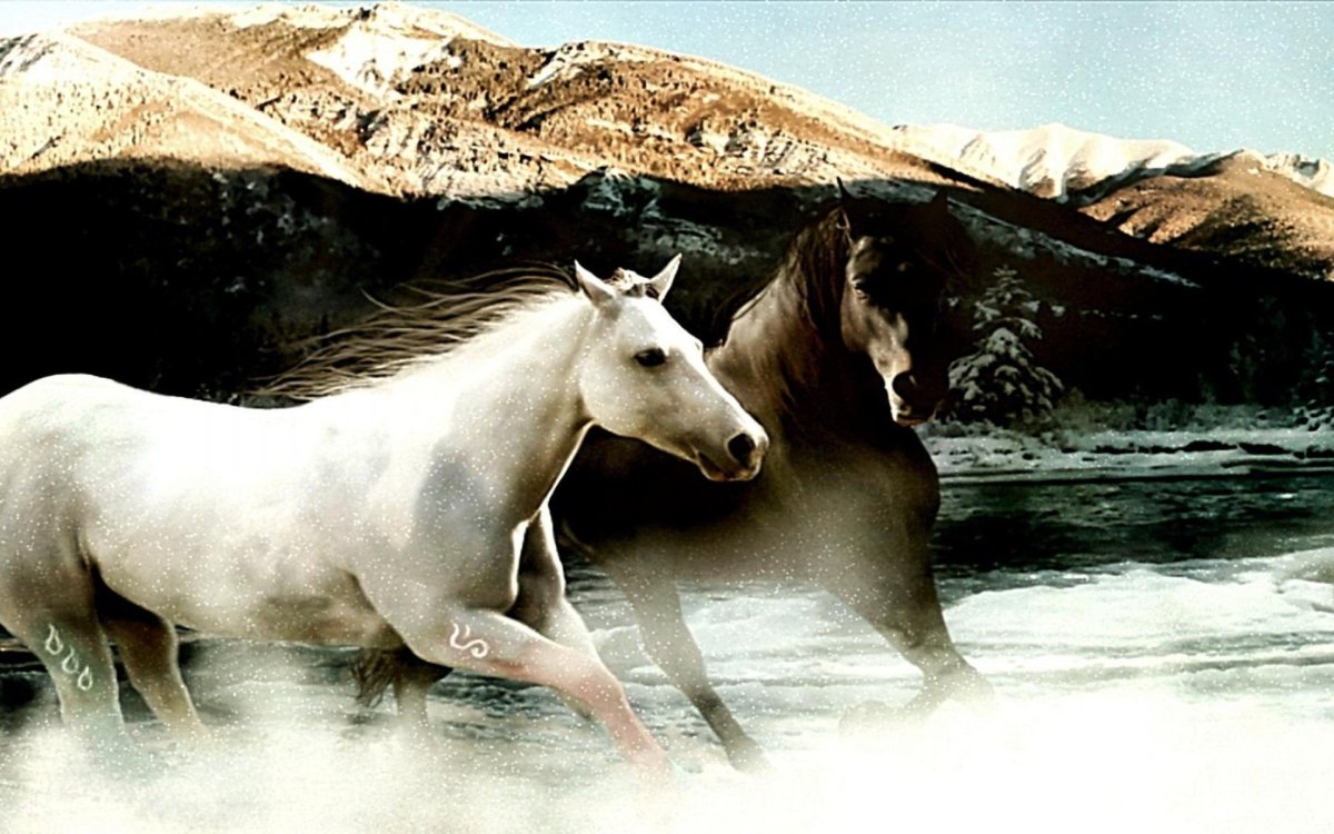 Лошади на рабочий стол компьютера