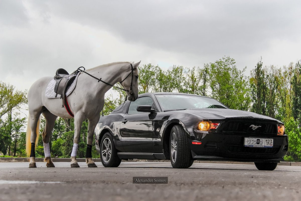 Форд Мустанг 900 лошадиных сил