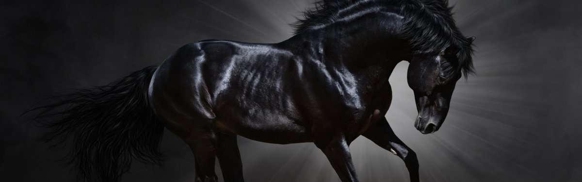 Красивый черный