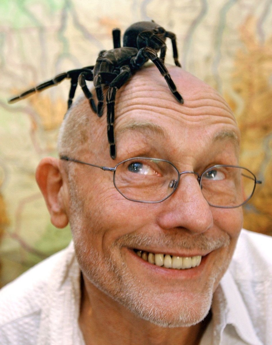 Тараканы в голове