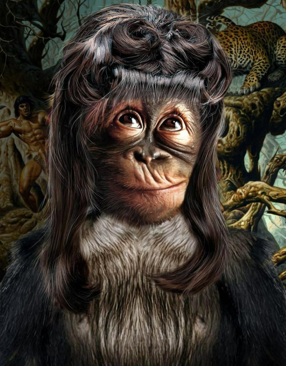 Мартышка с прической