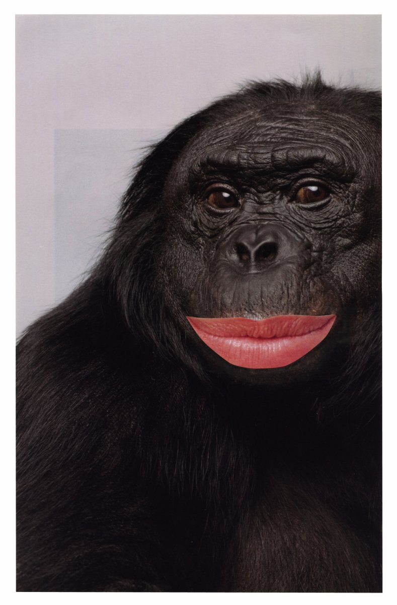 Губы гориллы
