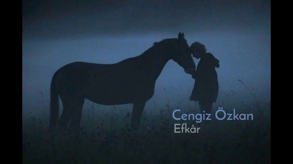 Ночью в поле с конем