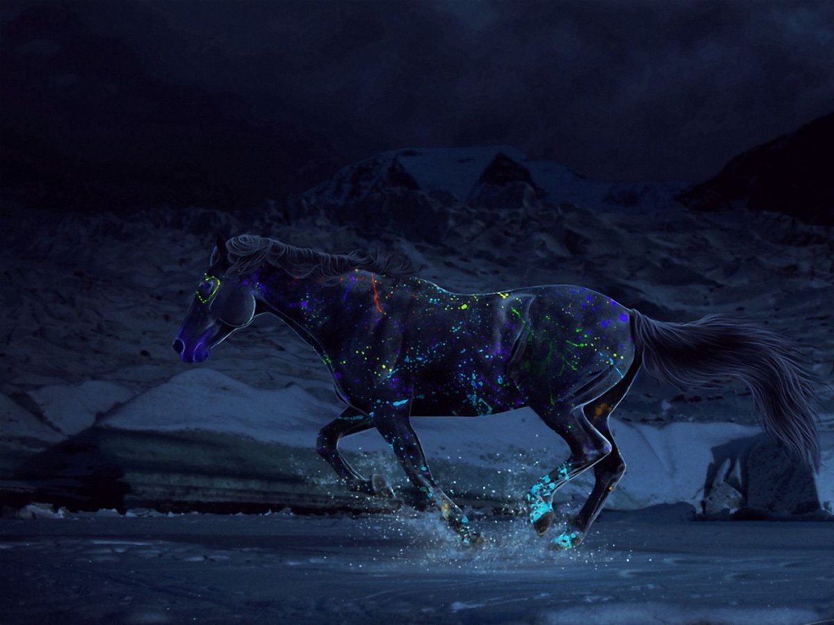 Лошадь ночью