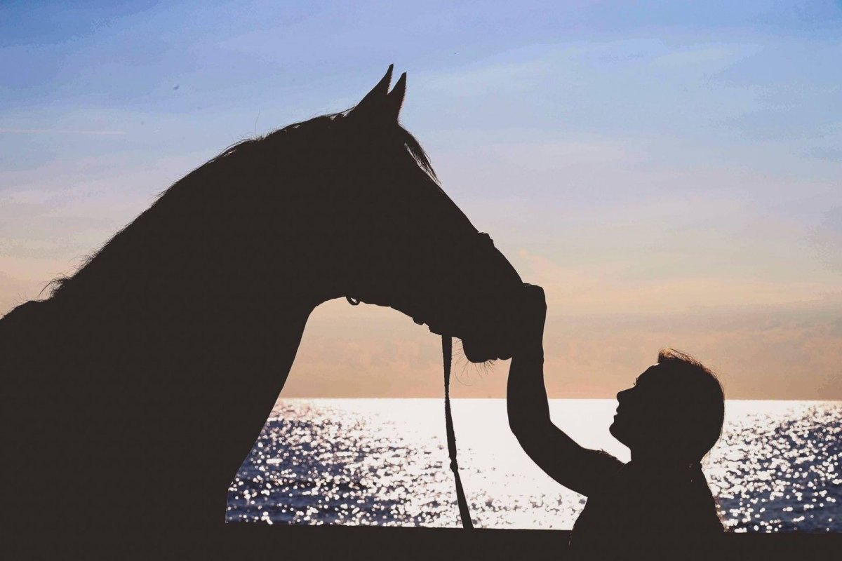 Мальчик рядом с лошадью