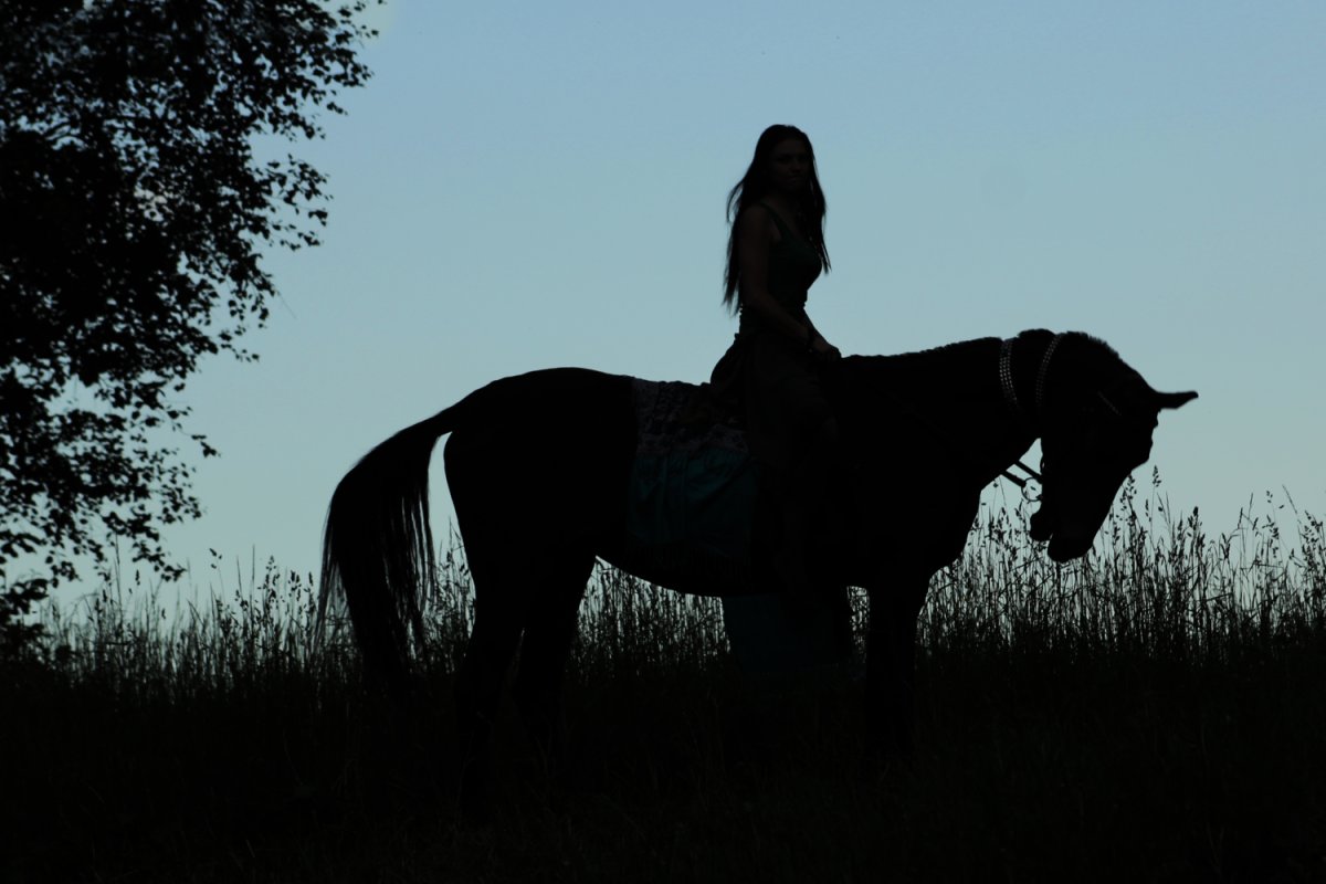 Выйду ночью в поле с конем