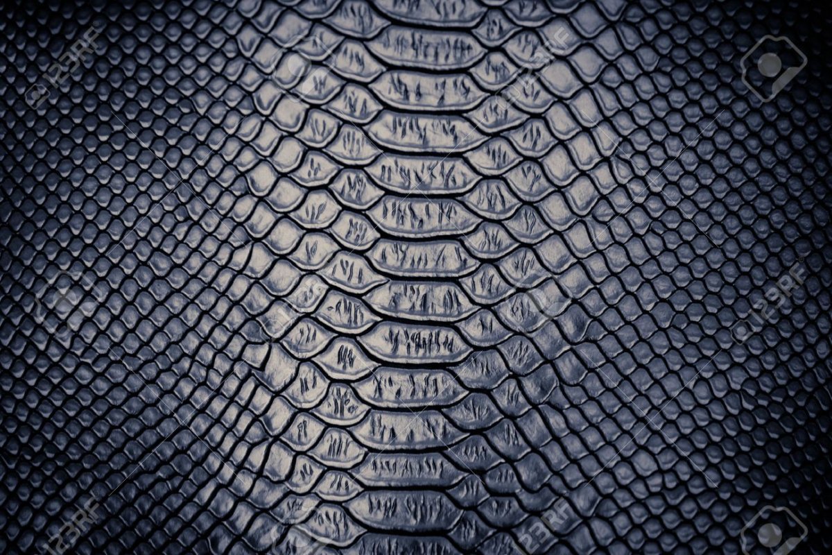 Кожа рептилий