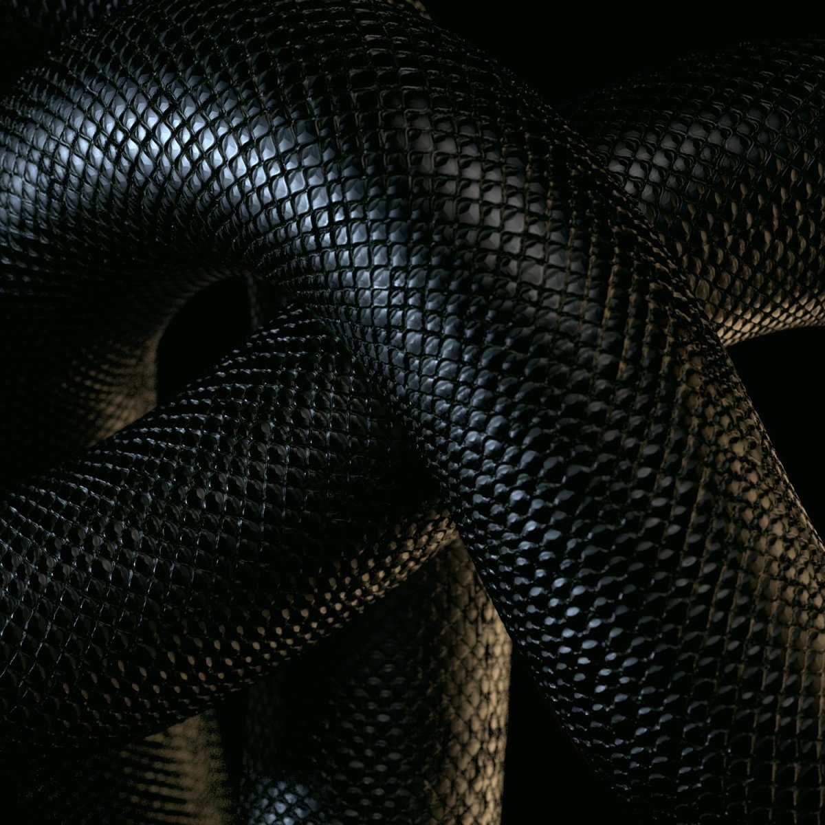 Блейк Снейк чёрная змея