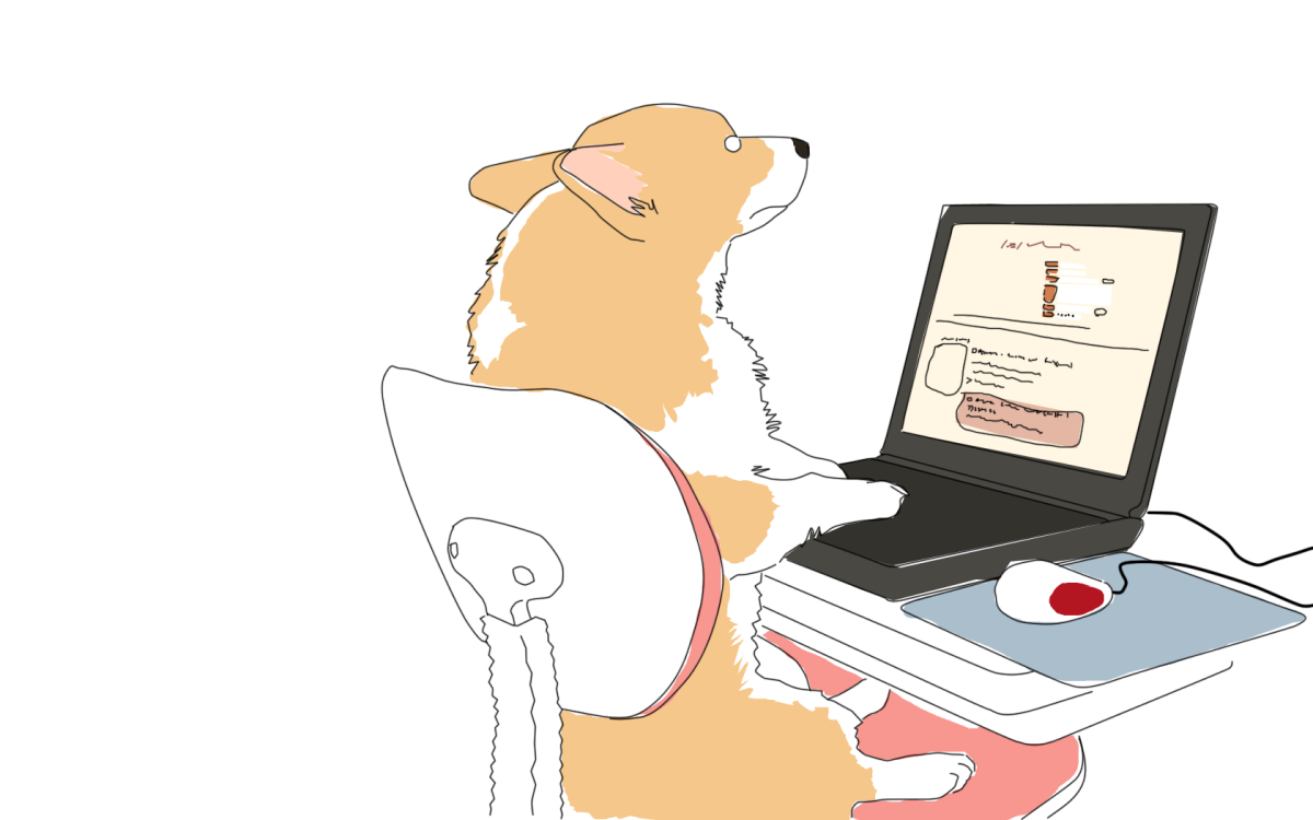 Животное за компьютером