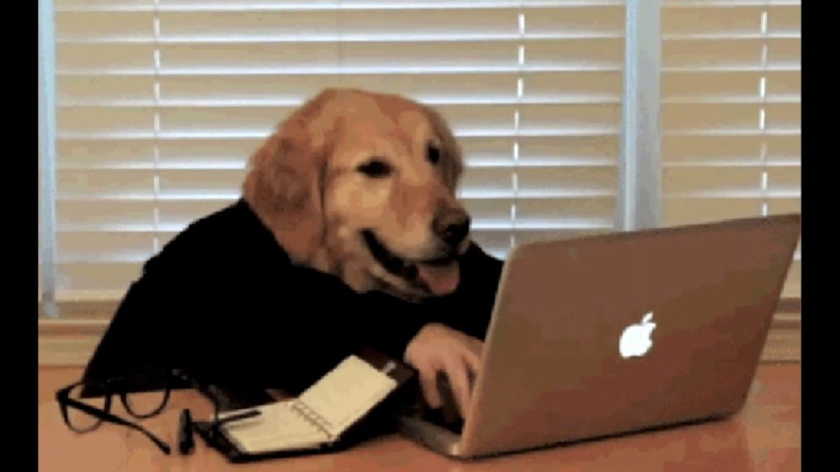 Собака печатает на клавиатуре